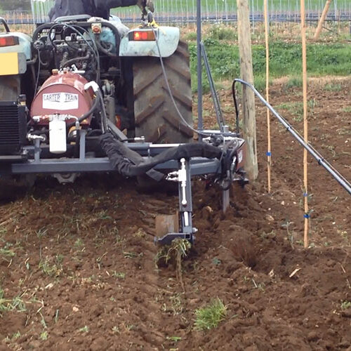 interfilare uliveto intensivo