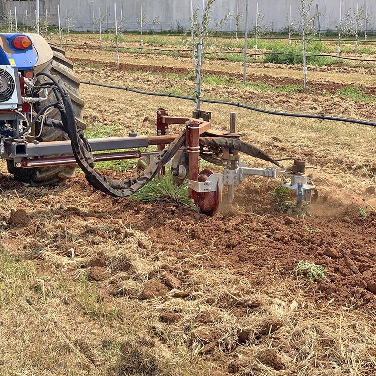 in-row machine works with vertical tillage in olive grove