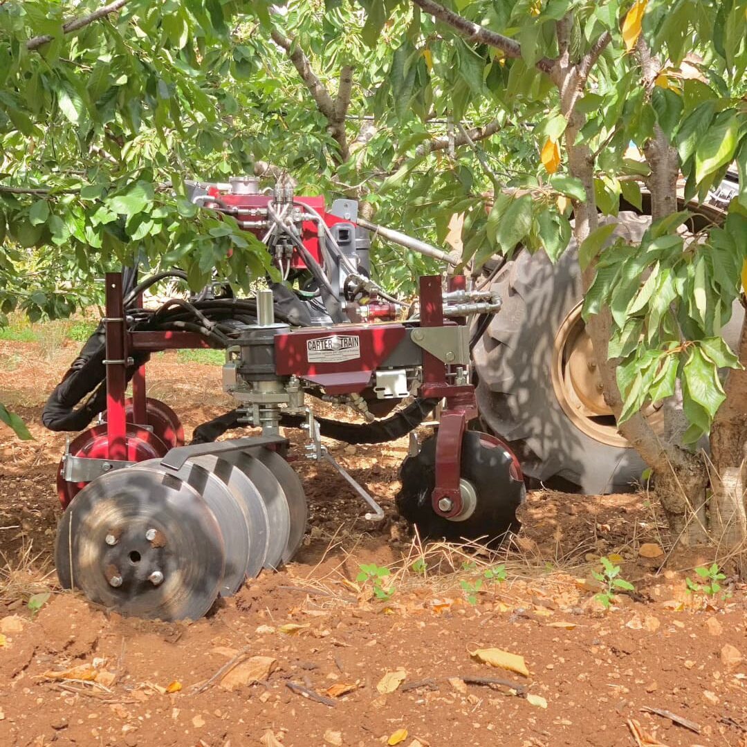 motorized interrow disc works in cherry orchard