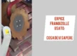 guida all acquisto erpice frangizolle usato